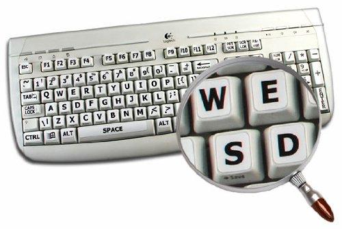 Absolute Absolute KIT-8 8 Gauge Amplifier Kit for System up to 1000 Watts