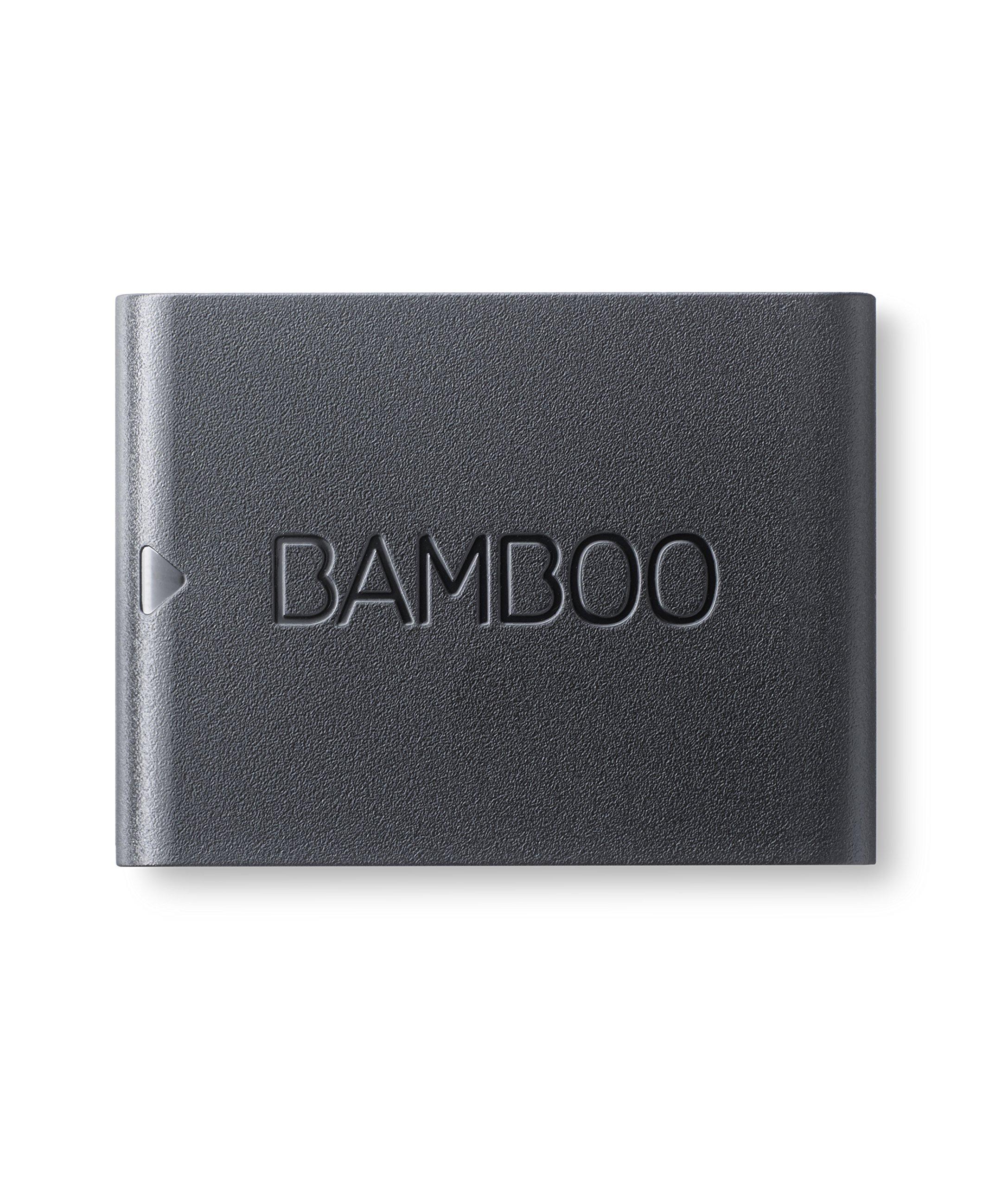 Wacom Wacom - ACK42416 - Tip Set for The Bamboo Ink Stylus