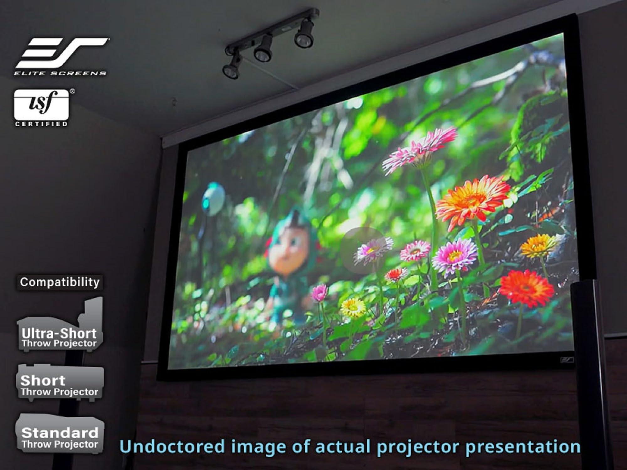 Elite Screens Elite Screens Sable Frame 2, 110-Inch Fixed Frame Projector Screen, 16:9 8K/4K Ultra HD & Active 3D Ready, ISF-Certified Material, Ideal for Home Theater, Office, and Indoor Presentations, ER110WH2