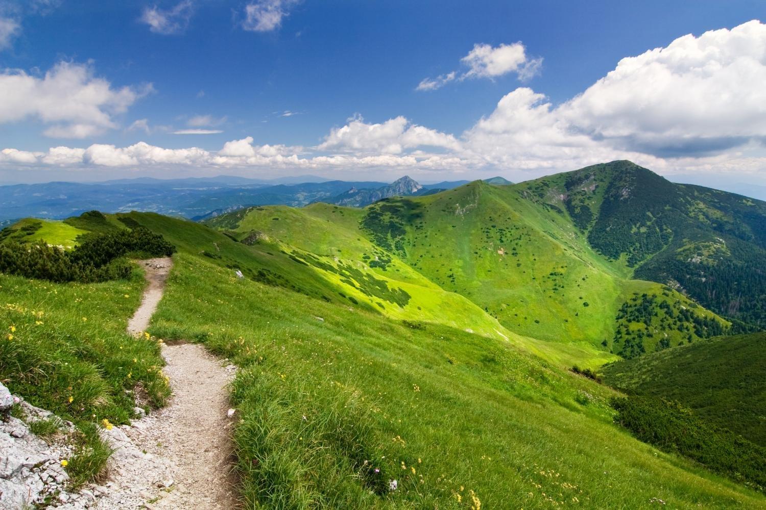 Bulbrite Bulbrite 391015-15W - G16.5 Bulb Type - E12 Base - Candelabra Base - 120V - 2500K - 100 CRI - 95 Lumens - 2,500Hrs - White - 12 Pack