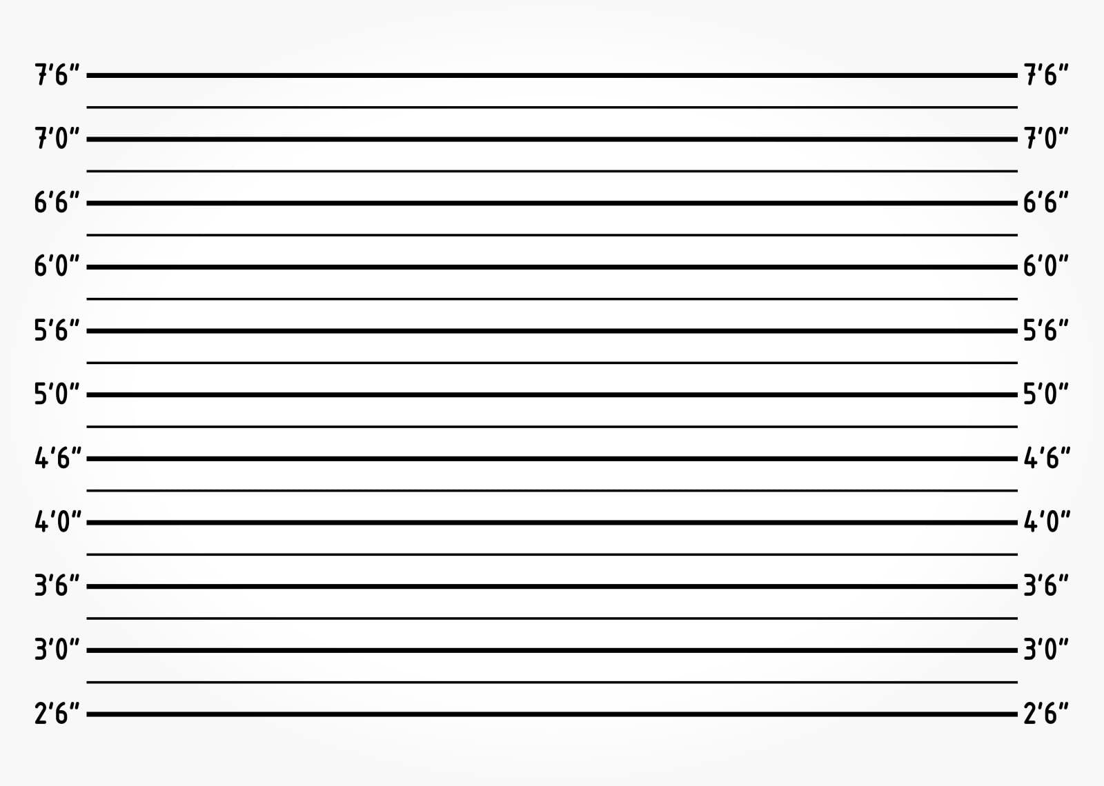 BELECO BELECO 7x5ft Fabric Mugshot Backdrop Police Lineup Height Charts Backdrop for Photography Bachelorette Party Girls Night Out Party Supplies Prison Mugshot Police Lineup Photo Booth Banner Studio Props