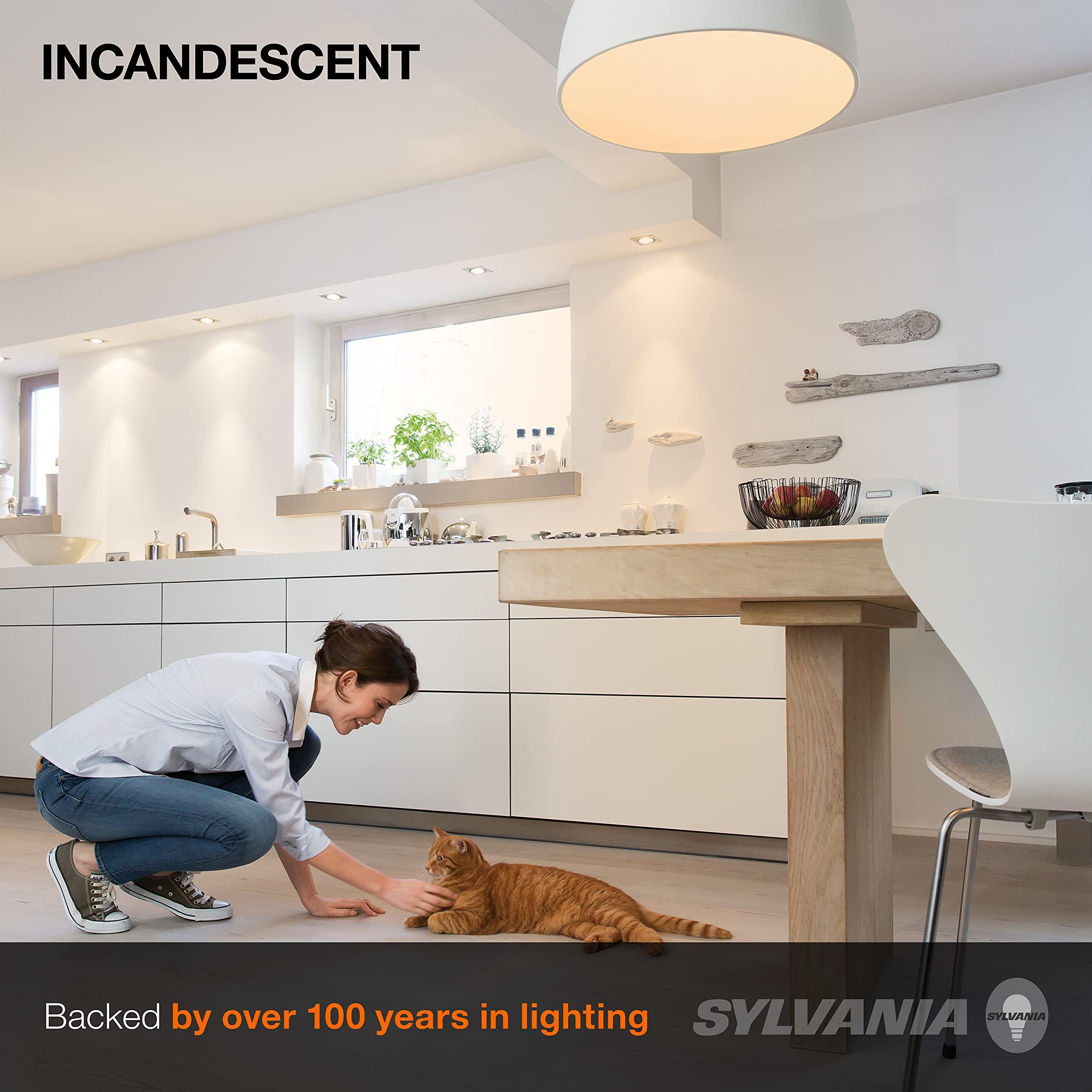 LEDVANCE SYLVANIA Incandescent Light Bulb, 25W A19, Dimmable, Medium Base, 160 Lumens, 2850K, Soft White - 2 Count(Pack of 1)(10562)
