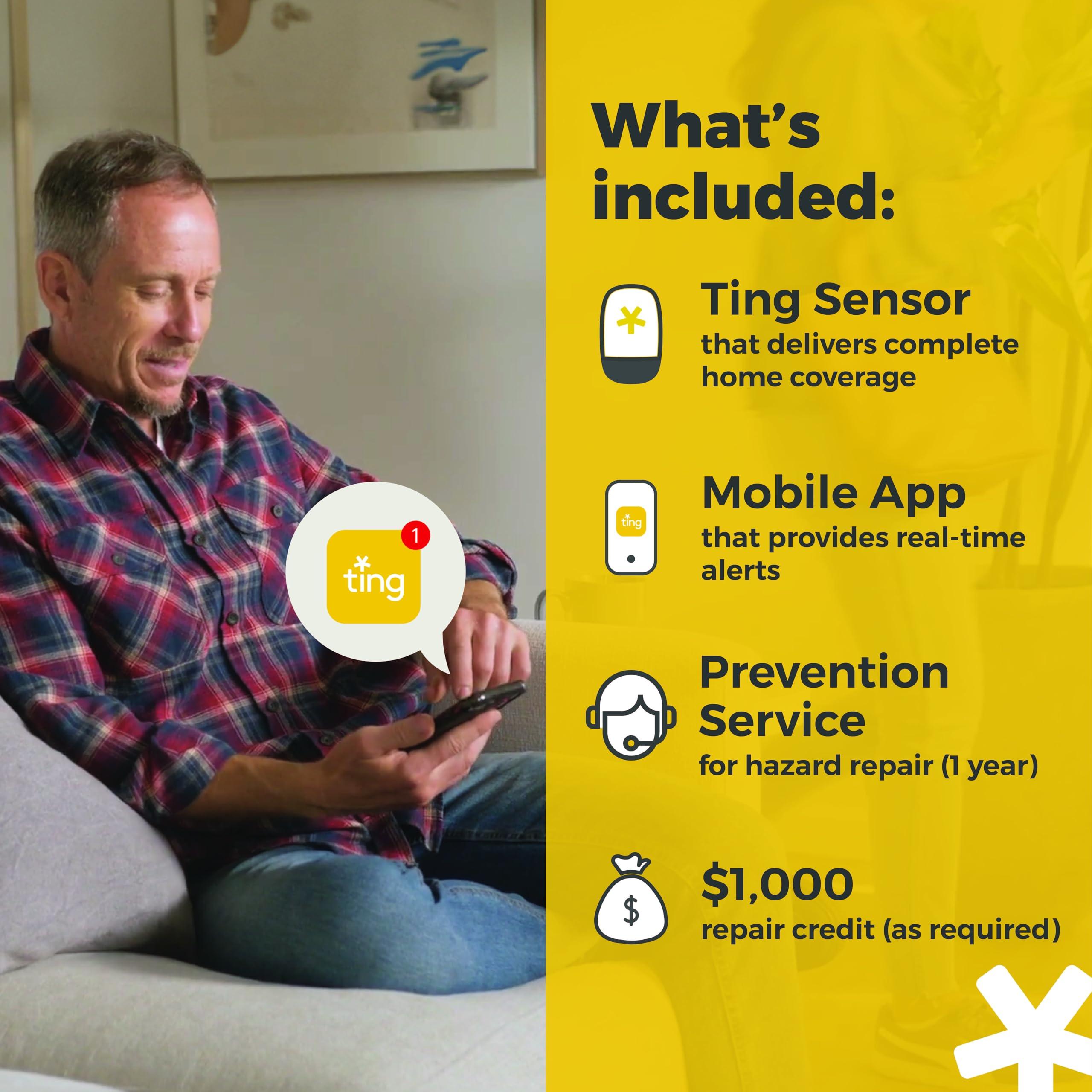 Ting Fire Ting Fire Ting Smart Fire Prevention Sensor & Service - Includes 12 Months of Required Service, Residential Use Only