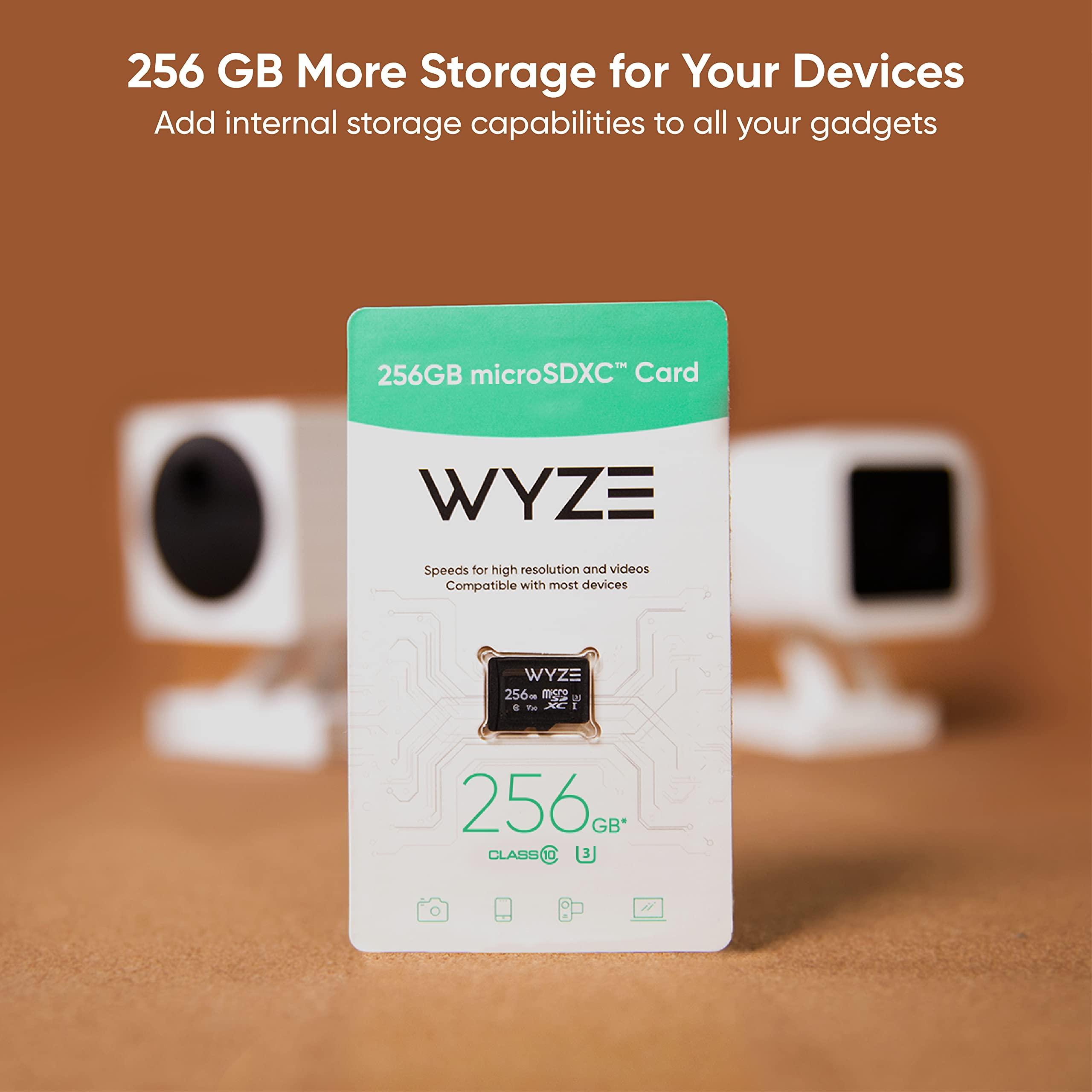 WYZE Wyze Expandable Storage 256GB MicroSDXC Card Class 10, Black