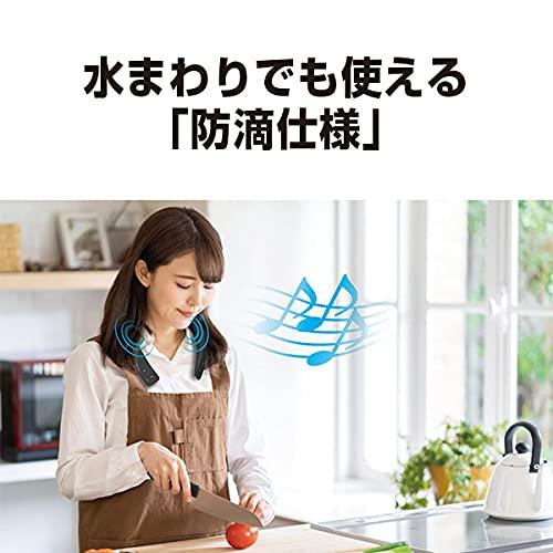 Panasonic Panasonic SC-WN10-K [Wireless Neck Speaker] Shipped from Japan (Black)