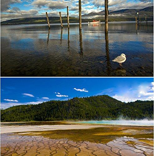 ZOMEI ZOMEI 67mm Ultra Slim CIR-PL CPL Optical Glass Pro Circular Polarizing Polarizer Camera Lens Filter with Cleaning Cloth