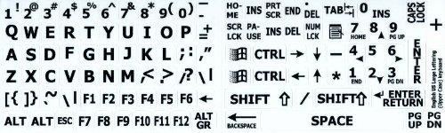 Absolute Absolute KIT-8 8 Gauge Amplifier Kit for System up to 1000 Watts