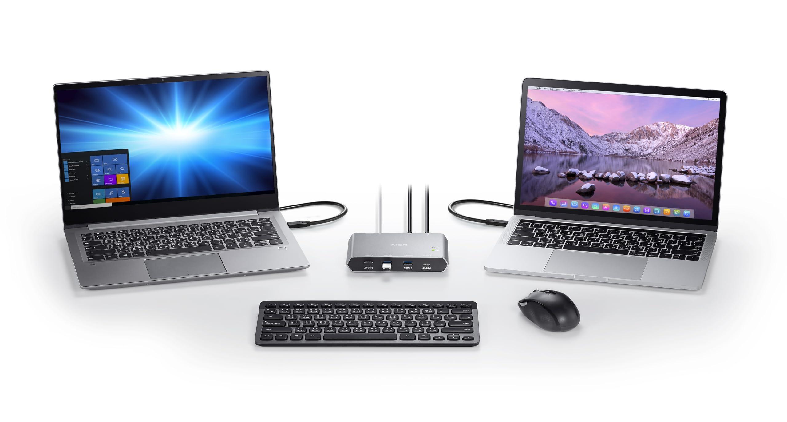 T-Spec T-Spec V10 Series RCA Audio Y Cable - 2 Channel - 1 Male to 2 Females