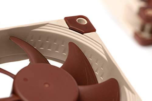 Noctua Noctua NF-A8 PWM, Premium Quiet Fan, 4-Pin (80mm, Brown)