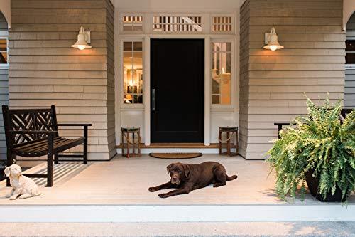 LEDVANCE SYLVANIA G25 Globe Décor LED Light Bulb, 60W Equivalent Efficient 5W, 10 Year, Non-Dimmable, 500 Lumens, 2700K, Soft White, Frosted - 2 Pack (40215)