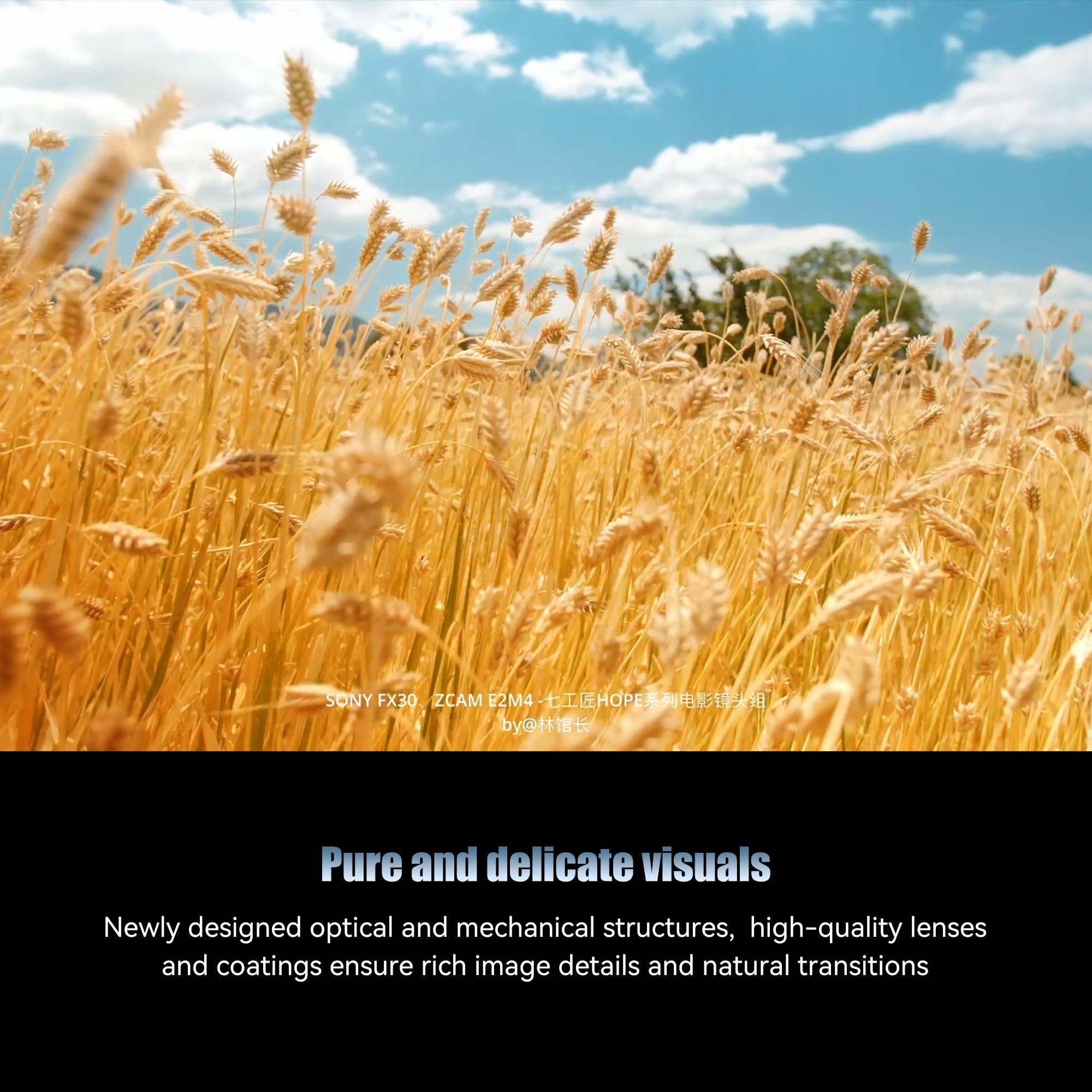 7artisans 7artisans 10mm T2.1 Hope Series Professional Cine Lens S35 Frame Mirrorless Cameras Lens Compatible for Macro 4/3 Mount,MFT Mount/LUMIX GH5LL/LUMIX GH5S/Z CAM/LUMIX GH6/BMPCC4K/DC-BGH1(Black)