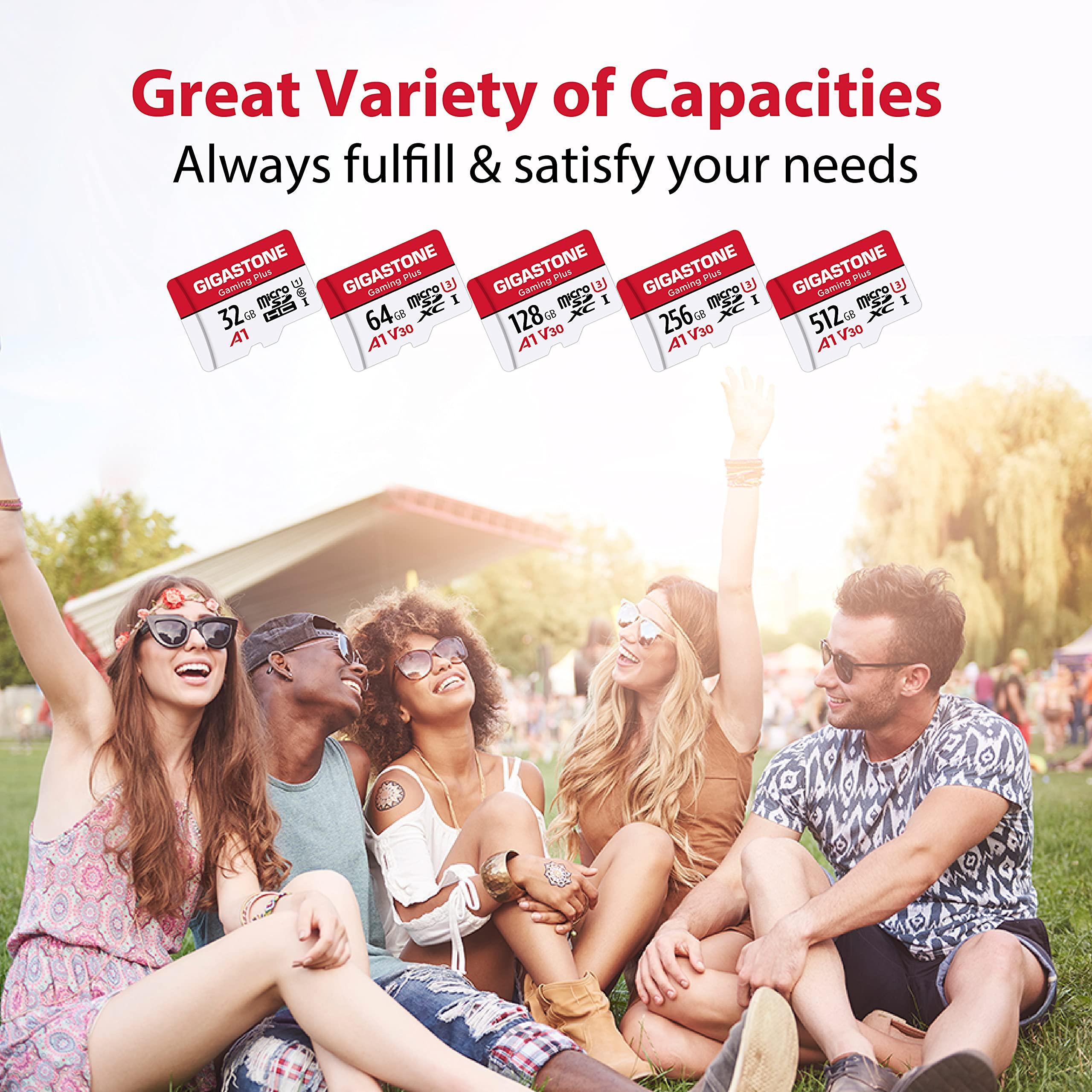 Gigastone GIGASTONE 256GB Micro SD Card, Gaming Plus, MicroSDXC Memory Card for Nintendo-Switch 1, Steam Deck, Dash Cam, Security Camera, 4K Video Recording, UHS-I A1 U3 V30 C10, up to 100MB/s, with Adapter