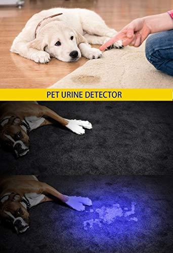 DARKBEAM DARKBEAM UV 395nm Flashlight Ultraviolet led Light Blacklight Wood's lamp Portable 400nm Mini Detector for Dog/Cat Urine Pet Stains, Anti-counterfeiting Identification, Resin Curing, AA
