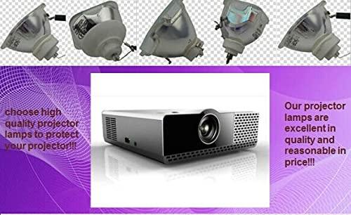 DirectNine Basics SPLAMP006 Replacement Projector Bare Lamp Bulb Without Housing for INFOCUS SP-LAMP-006 DP6500X LP650 LS5700 LS7205 LS7210 SP5700 SP7200 SP7205
