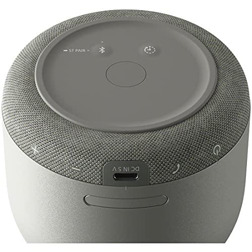 Sony Sony Glass Sound Speaker LSPX-S3: Bluetooth Compatible/Handsfree Calls/USB Type-C