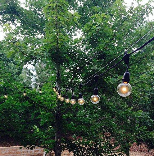 Novelty Lights 37.5 Foot S14 Edison Outdoor String Lights  Suspended - Commercial Grade - Backyard Garden Gazebo  Cafe Market String Lights  Vintage Patio String Lights  Black Wire - 25 S14 LED Bulbs