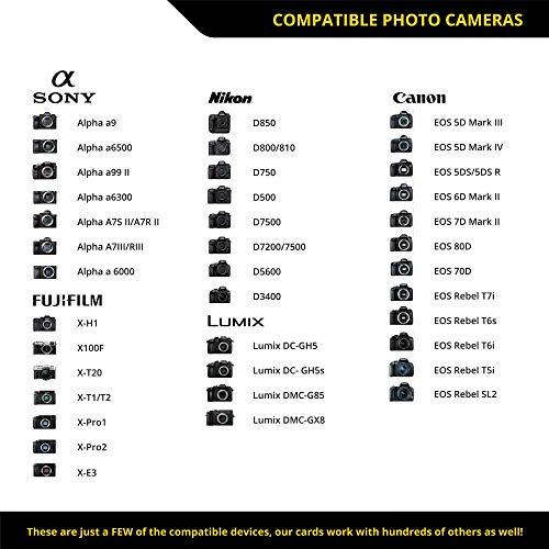 ProGrade Digital SD UHS-II 256GB Card V60 Up to 130MB/s Write Speed and 250 MB/s Read Speed | for Professional Vloggers, Filmmakers, Photographers & Content Curators by Prograde Digital