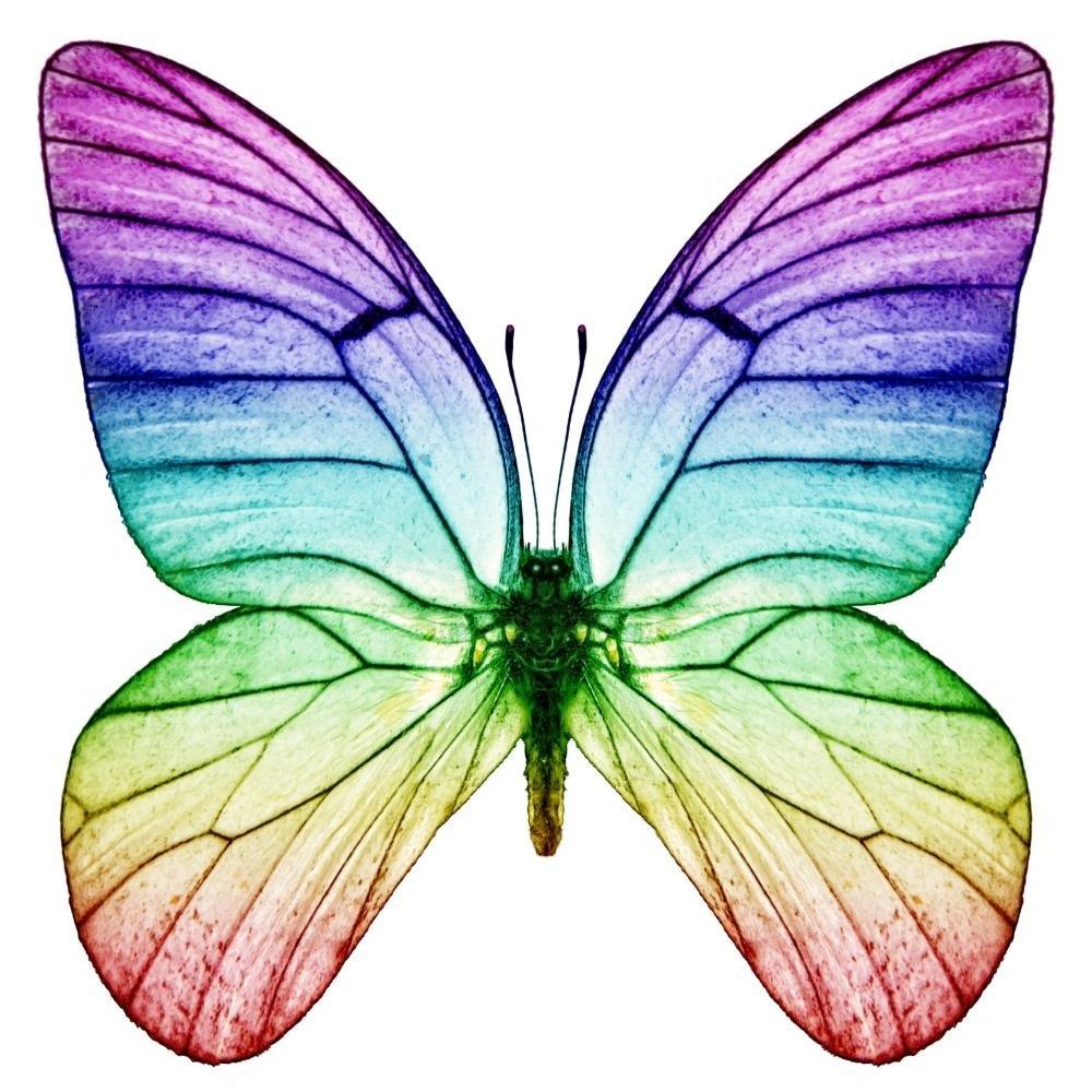 MICHAEL ARAM Michael Aram White Orchid Ring Catch