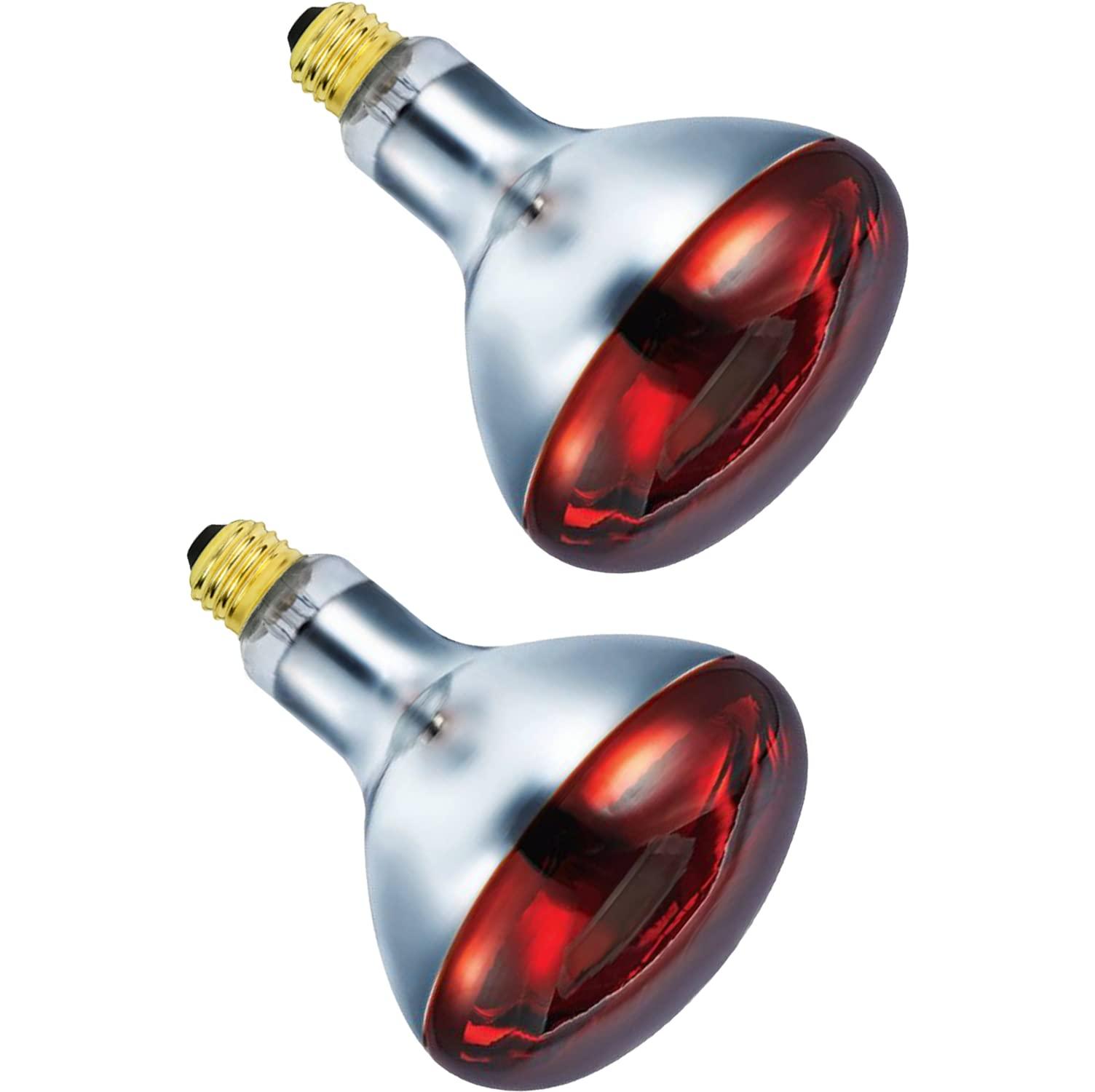 BULBMASTER BULBMASTER 250 Watts R40 Red Heat Lamps Outdoor Bulbs for Pets Flood Light Bulb for Chickens Infrared Reflector 250W R40 Incandescent Medium E26 Base 2 Pack
