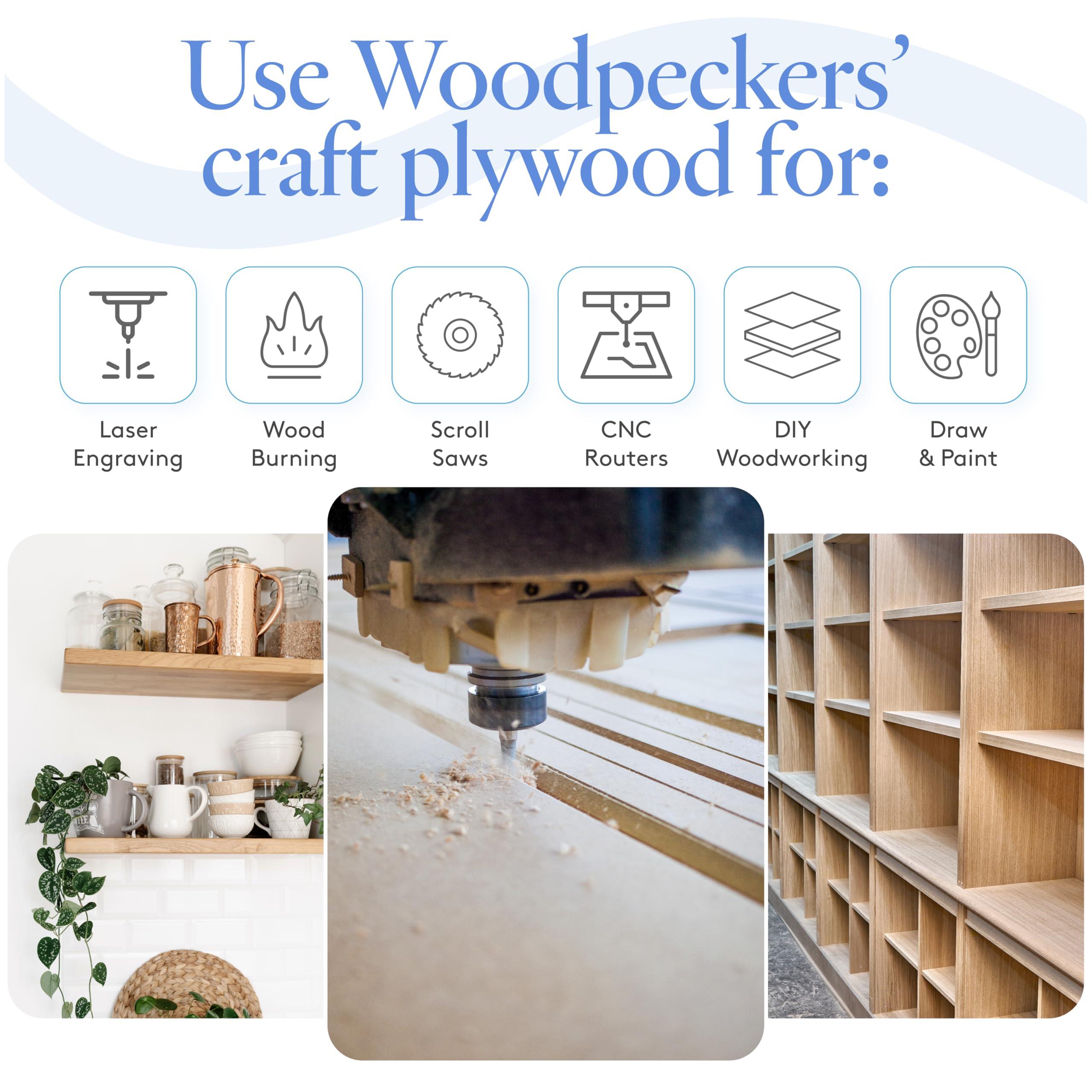 Woodpeckers Baltic Birch Plywood 12 x 12 x 1/2 Inch - 12 mm Craft Wood, Pack of 2 B/BB Grade, Stronger Than Basswood Sheets/Balsa Wood, Perfect for Laser, CNC Cutting, Shelf Boards 12 inch Wide, by Woodpeckers