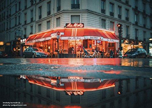 Lensbaby Lensbaby Burnside 35mm f/2.8 Lens for Nikon F