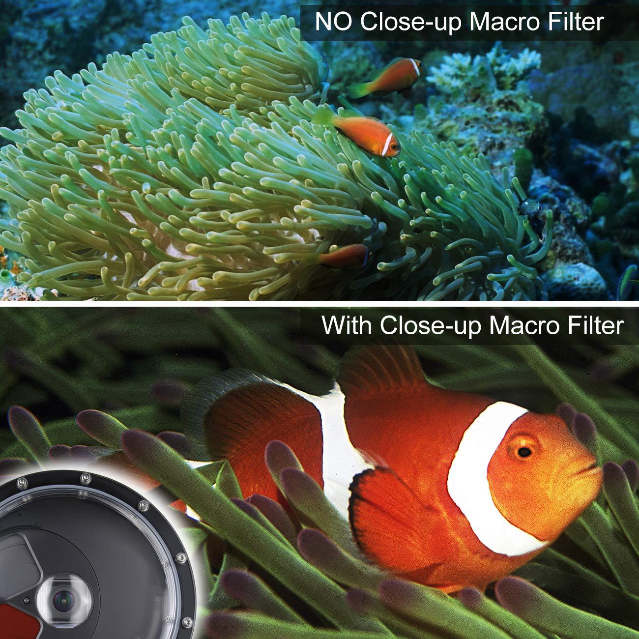 SOONSUN SOONSUN Dome Port for GoPro Hero 9 10 11 12 13 Black, Underwater Dome Lens with Waterproof Housing Case Built-in Switchable Red Filter, 10x Close-up Macro Filter and Standard Mode