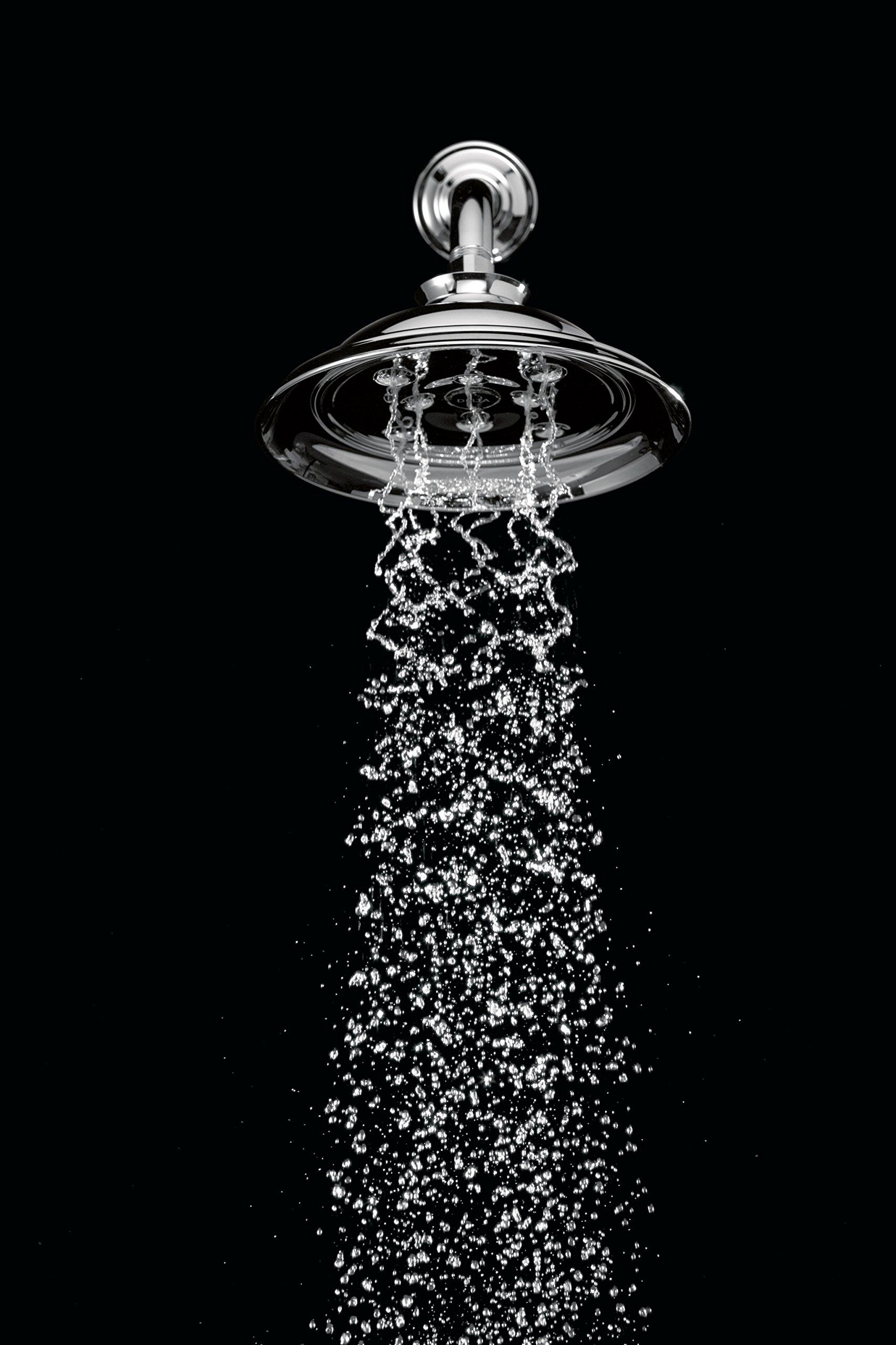 DELTA FAUCET DELTA FAUCET RP70172 Water Efficient Showerhead, Chrome, 0.5