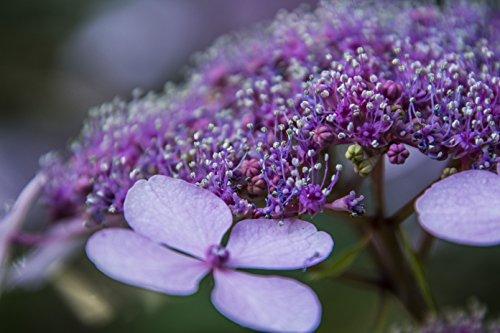 Tamron TAMRON high magnification zoom lens 18-400mm F3.5-6.3 DiII VC HLD for Canon APS-C only B028E(International Version - No Warranty)