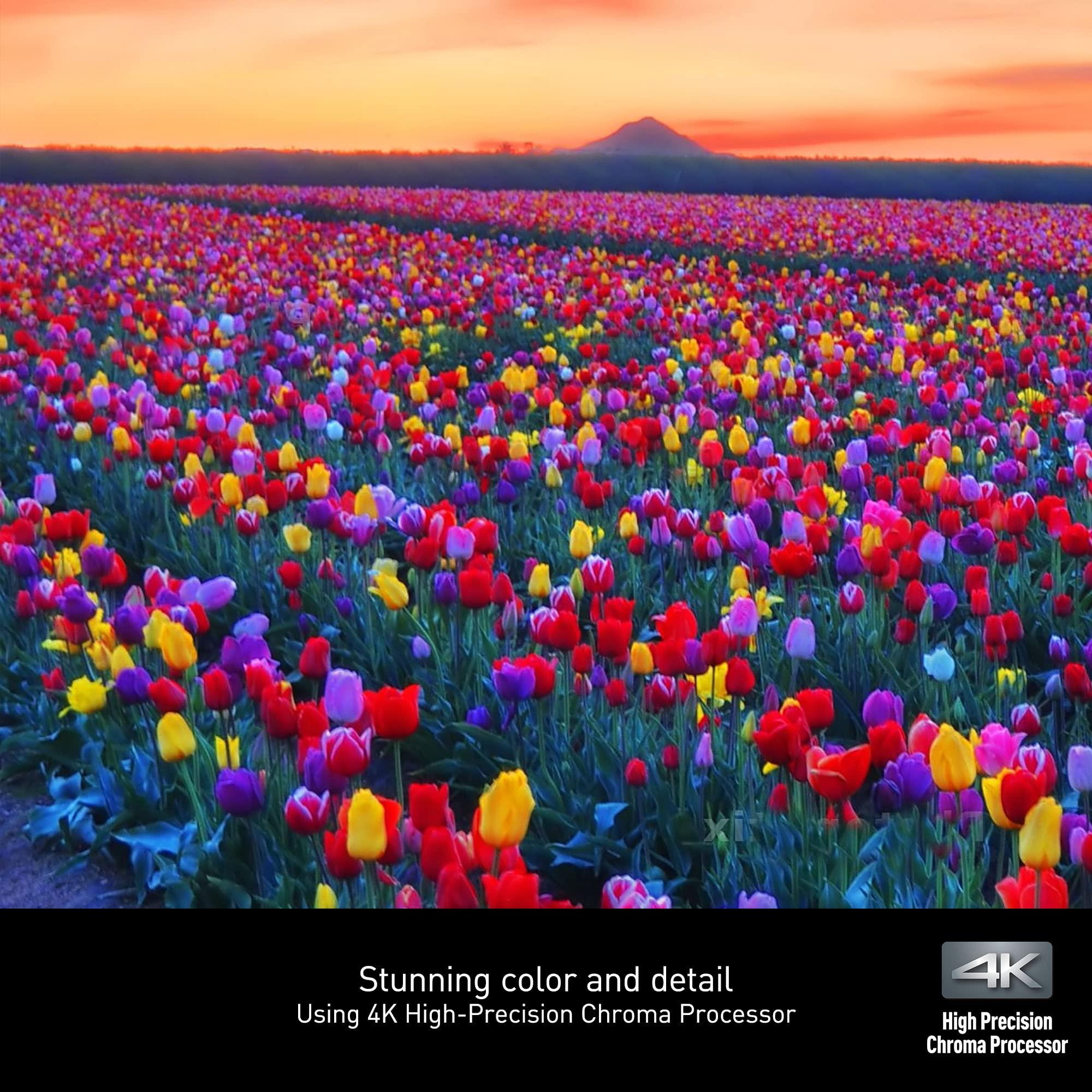 Panasonic Panasonic 4K Blu Ray Player, Ultra HD Premium Video Playback and Hi-Res Audio - DP-UB154P-K (Black)