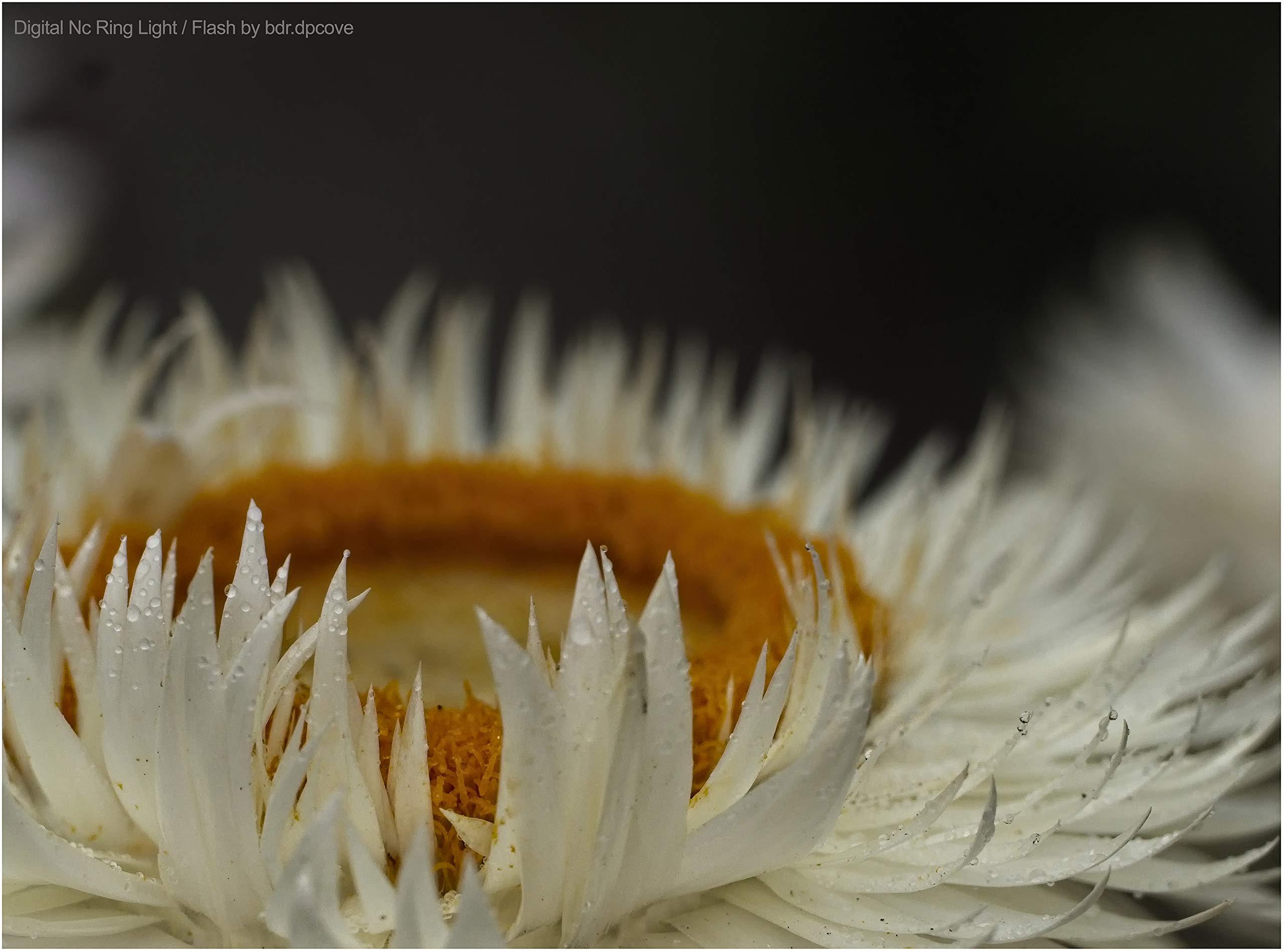 Digital Nc Macro LED Ring Light for Sony Alpha a6000 / a6300 / a6500 / a6600 /a6700