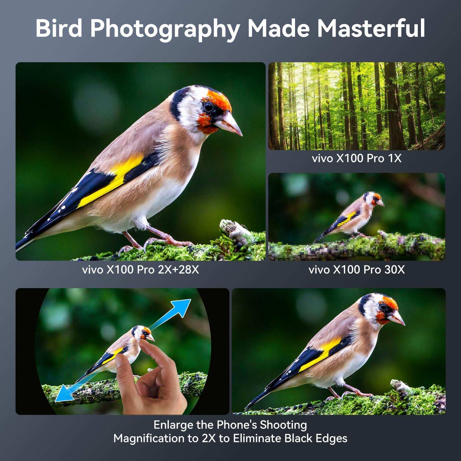 APEXEL Apexel 10 in 1 Phone Camera Lens Kit Wide Angle/Macro/Fisheye/Telephoto/CPL/Flow/Radial/Star Filter/Kaleidoscope Lens for iPhone and Most Phone Black