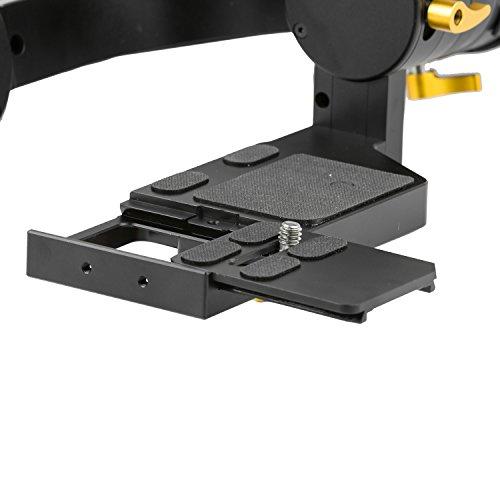 Ikan Ikan DS1 Beholder Gimbal for DSLRs (Black)