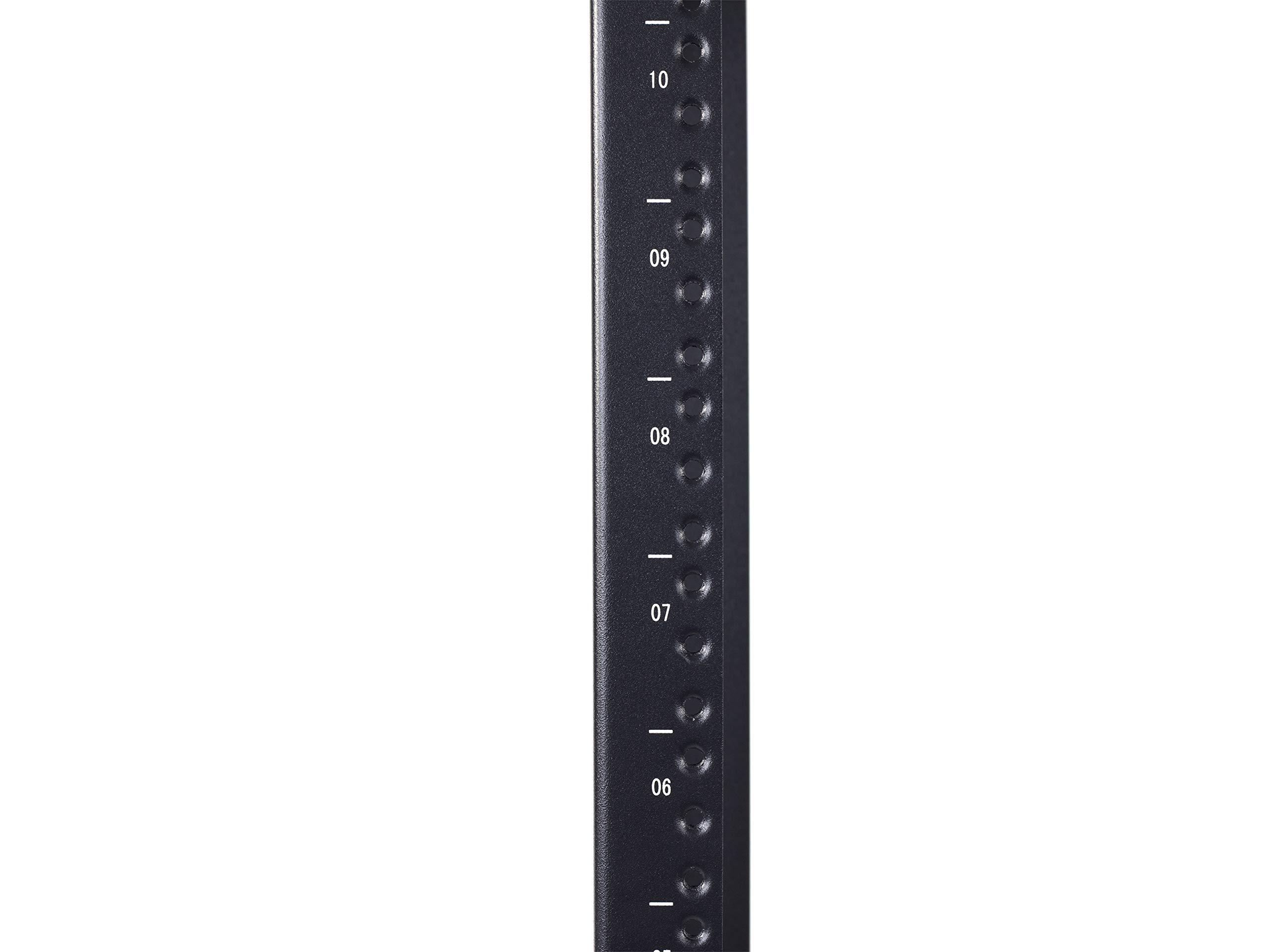 Networx Networx 9U Open Frame Swing Out Wall Mount Rack - 201 Series, 12 Inches Deep, Flat Packed