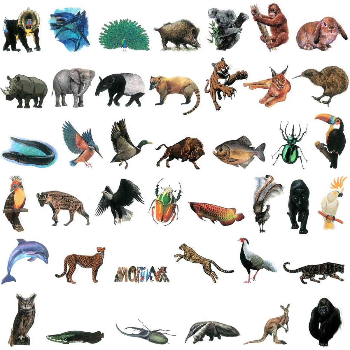 allydrew allydrew Waterproof Vinyl Stickers for Water Bottles, Laptop, Phones, Skateboards, Decals for Teens, 80pcs, Safari Animals