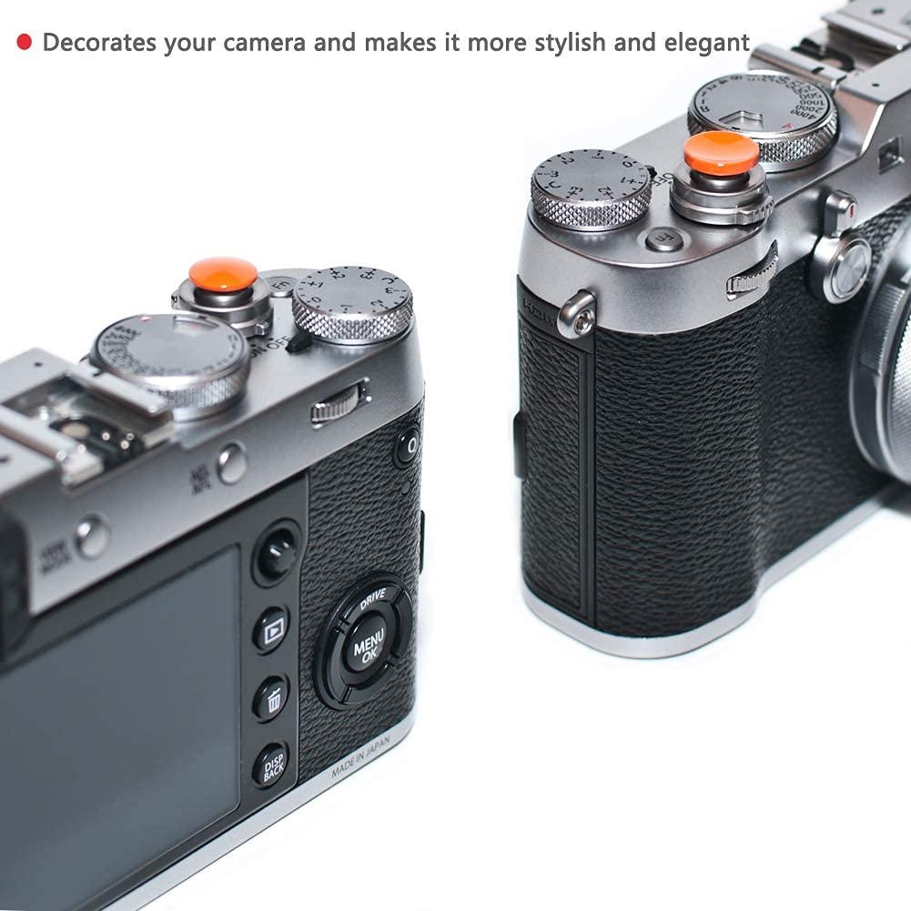 BIG MIKE'S ELECTRONICS 40.5mm Filter Kit (UV-CPL-FLD) for Sony Alpha ZV-E10, A5000, A5100, A6000, A6100, A6300, A6400, A6500, NEX-5TL, NEX-6 Camera with Sony 16-50mm, Alpha A7c with 28-60mm Lens