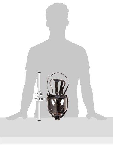 NORTH Honeywell North 7600 Series Niosh-Approved Full Facepiece Silicone Respirator, Small (760008AS)