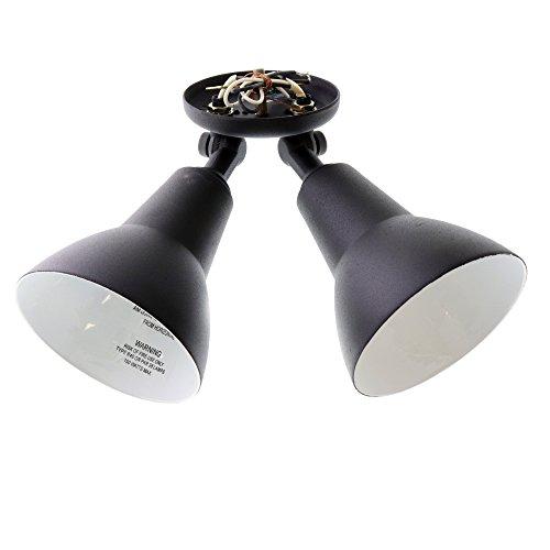 Volume Lighting Volume Lighting V9782 2 Light 10.5" Height Outdoor Security Light, Black