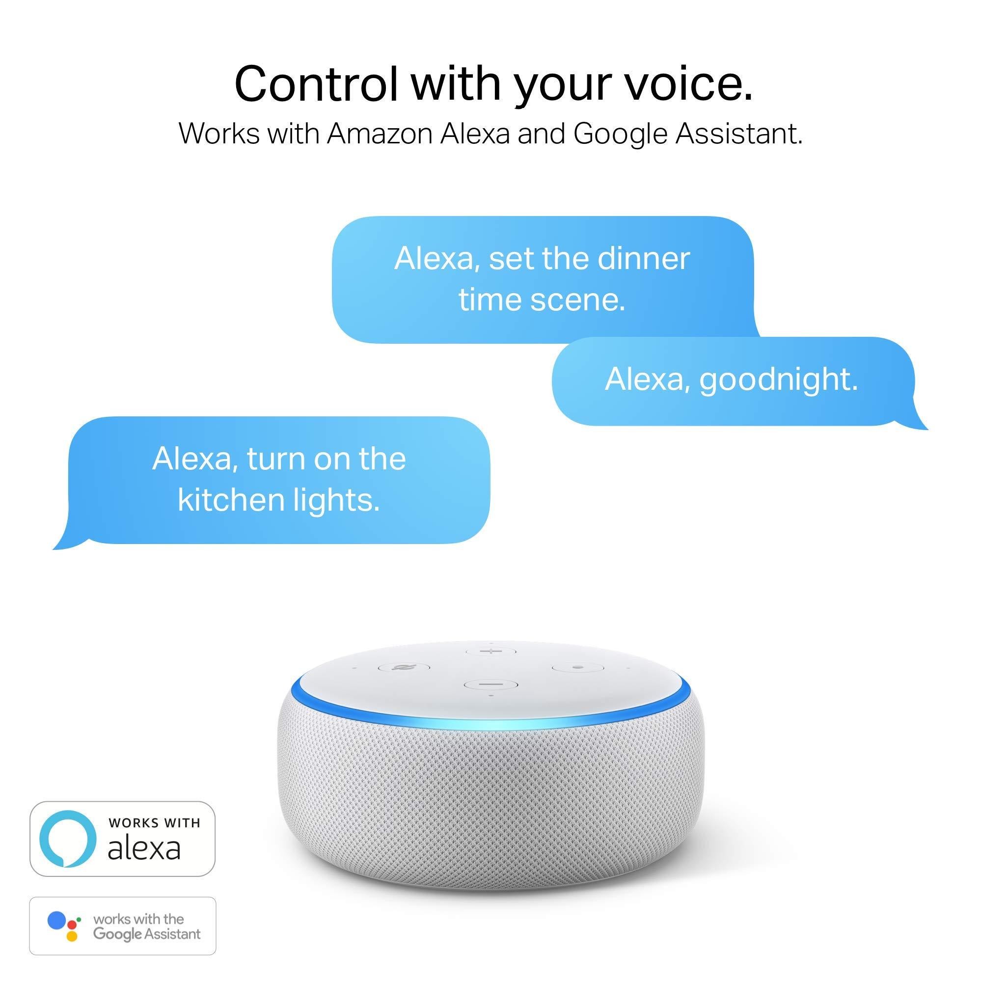 Kasa Smart Kasa Smart WiFi Plug by TP-Link - Smart Plug, No Hub Required, Works with Alexa and Google (HS100), white, 1 Pack