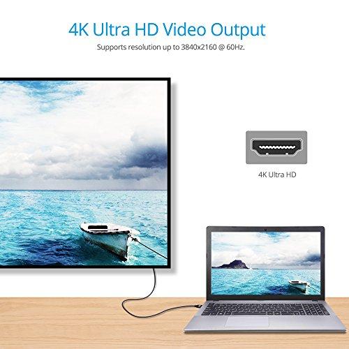 gofanco gofanco 4K 60Hz USB Type C to HDMI 2.0 6.6ft Braided Adapter Cable Home Office - Work from Home - Thunderbolt 3 Compatible - UHD 4K @60Hz - 2 Meters, DisplayPort Alternate Mode via USB-C Required