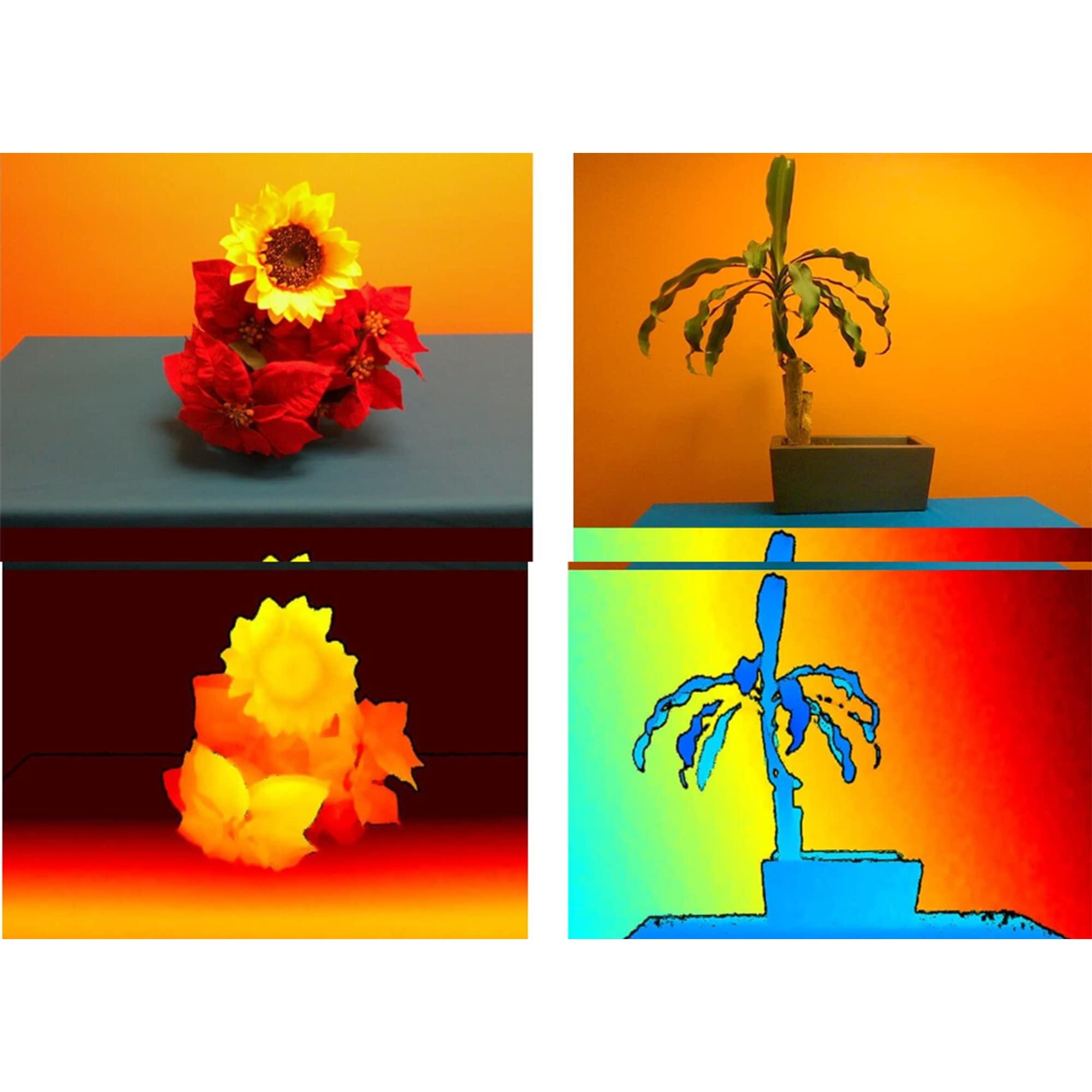 MiiElAOD Intel RealSense LiDAR Camera L515 to Speed Up Logistics Industry