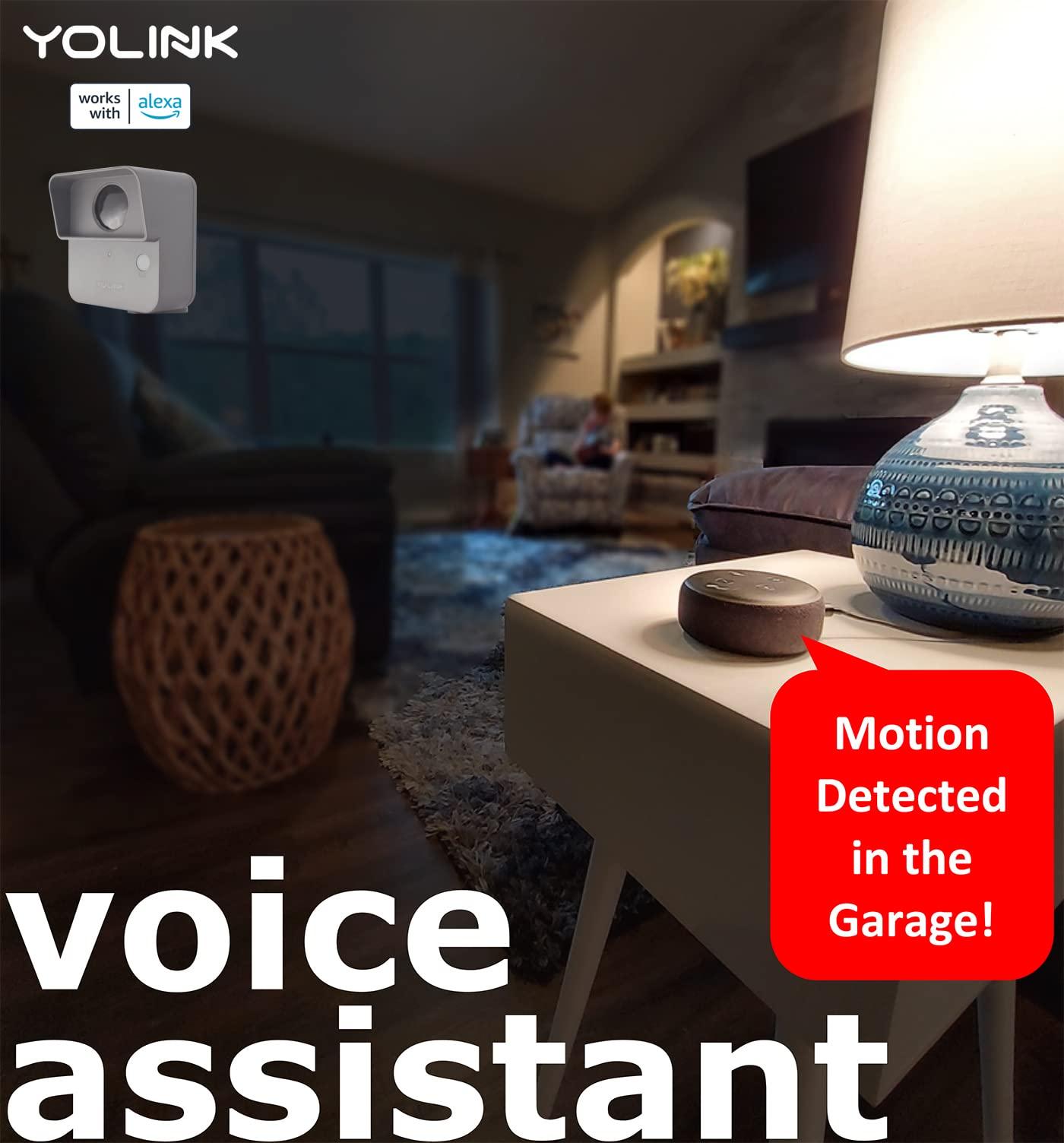 YoLink YoLink LoRa Smart Outdoor Motion Sensor, Driveway Alert, Property Invasion/Tresspassing Detector, 1/4 Mile Open Air Range, Email/SMS/Push Alerts, Alexa, IFTTT, Home Assistant (Hub Included!)