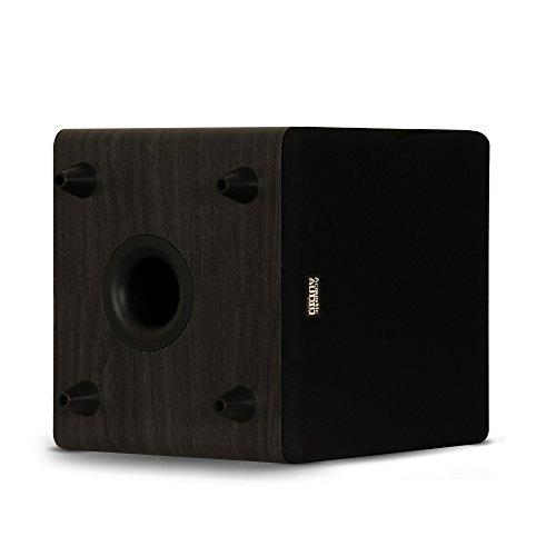 Acoustic Audio by Goldwood Acoustic Audio PSW400-10 Home Theater Powered 10" LFE Subwoofer Black Front Firing Sub,400 Watts