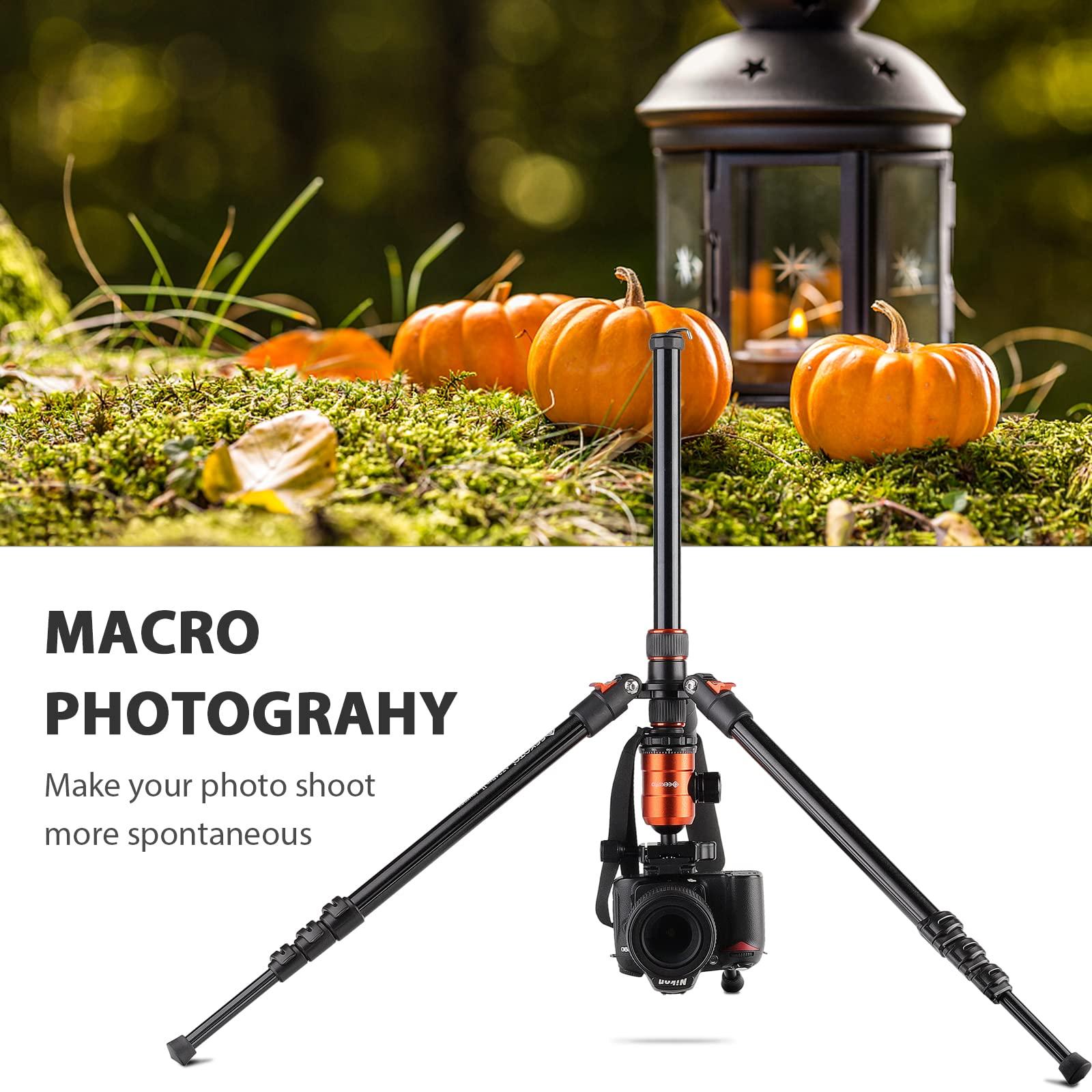 GEEKOTO [Upgrade Version] GEEKOTO 77'' Tripod, Aluminum Camera Tripod Monopod, Foldable DSLR Tripod for Travel, Compact Tripod with 360 Panorama Ball Head Quick Release Plate for Travel and Work