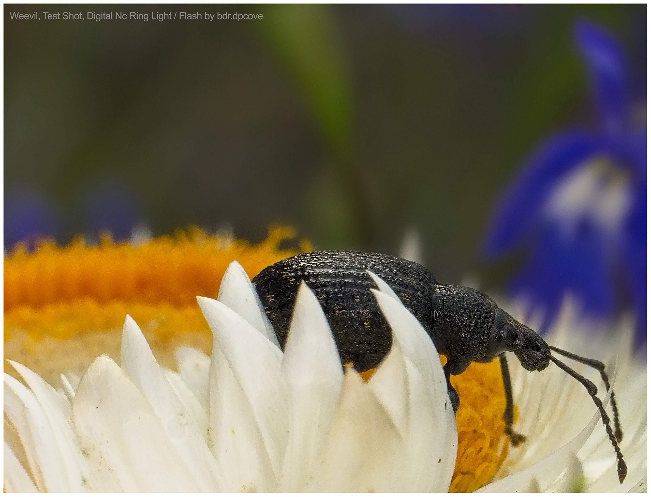 Digital Nc Macro LED Ring Light for Sony Alpha a6000 / a6300 / a6500 / a6600 /a6700