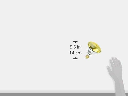 Satco Satco S5004 100 Watt BR38 Incandescent 230 Volt E27/Medium Base Light Bulb, Yellow