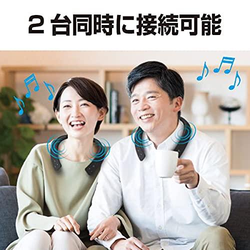 Panasonic Panasonic SC-WN10-K [Wireless Neck Speaker] Shipped from Japan (Black)