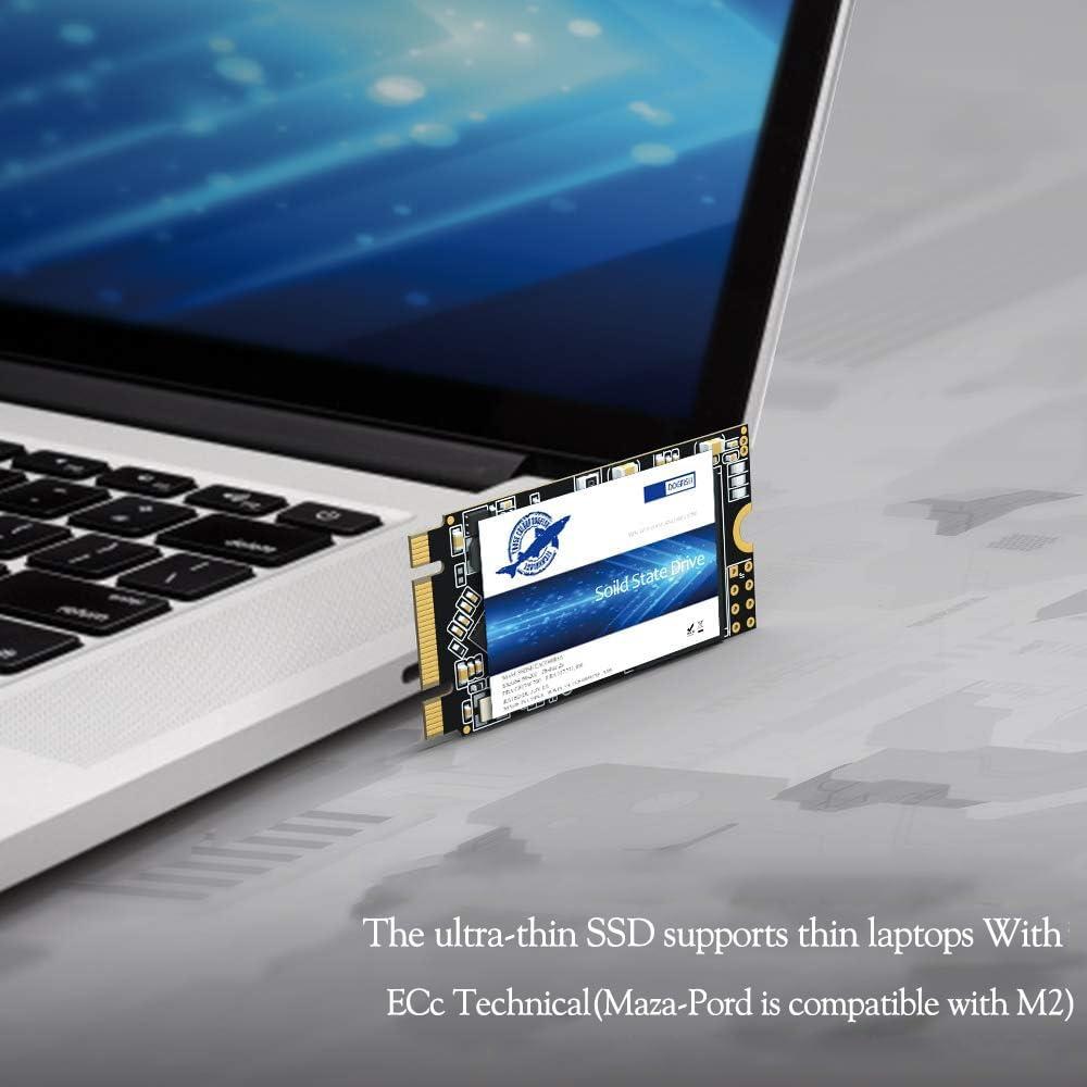 THREE COLOUR DOGFISH Dogfish SSD M.2 2242 250GB Unidad De Estado S?ido Incorporada Height PC Unit?a Stato Solido Integrata Interno MLC Desktop Laptop Hard Drive Disk m2(M.2 2242 250GB)