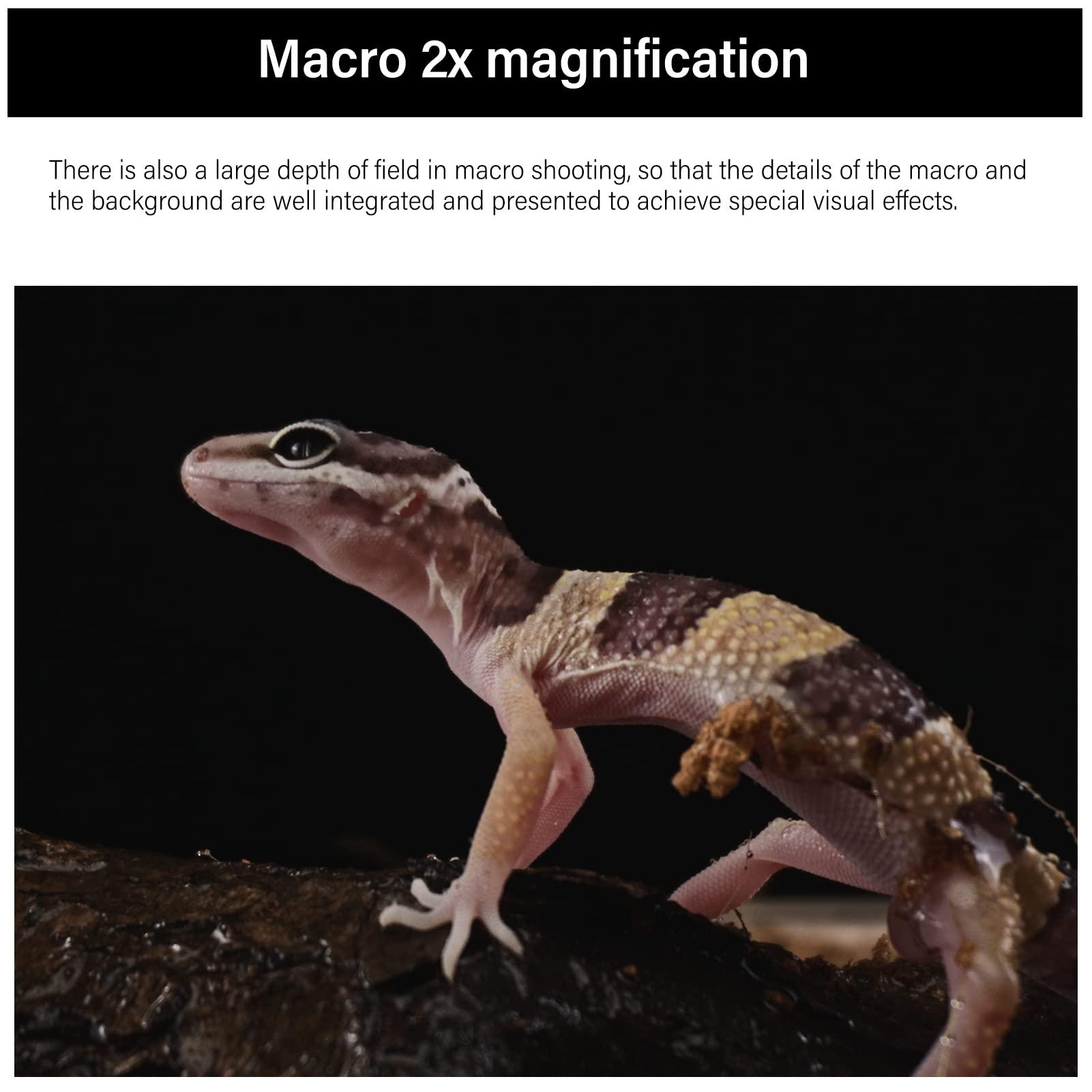 AstrHori AstrHori 28mm F13 Probe Lens 2X Macro Lens Full Frame Specialty Lens for Nikon Z Mount Series Mirrorless Cameras Z5,Z6,Z6II,Z7,Z7II,Z9,Z50,ZFC.etc(Black)