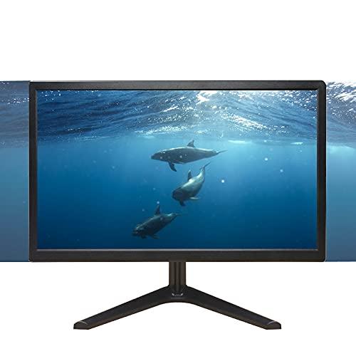 RAYPODO RAYPODO 18.5 inch PC Monitor with VGA Monitor (Black), RPD-1850