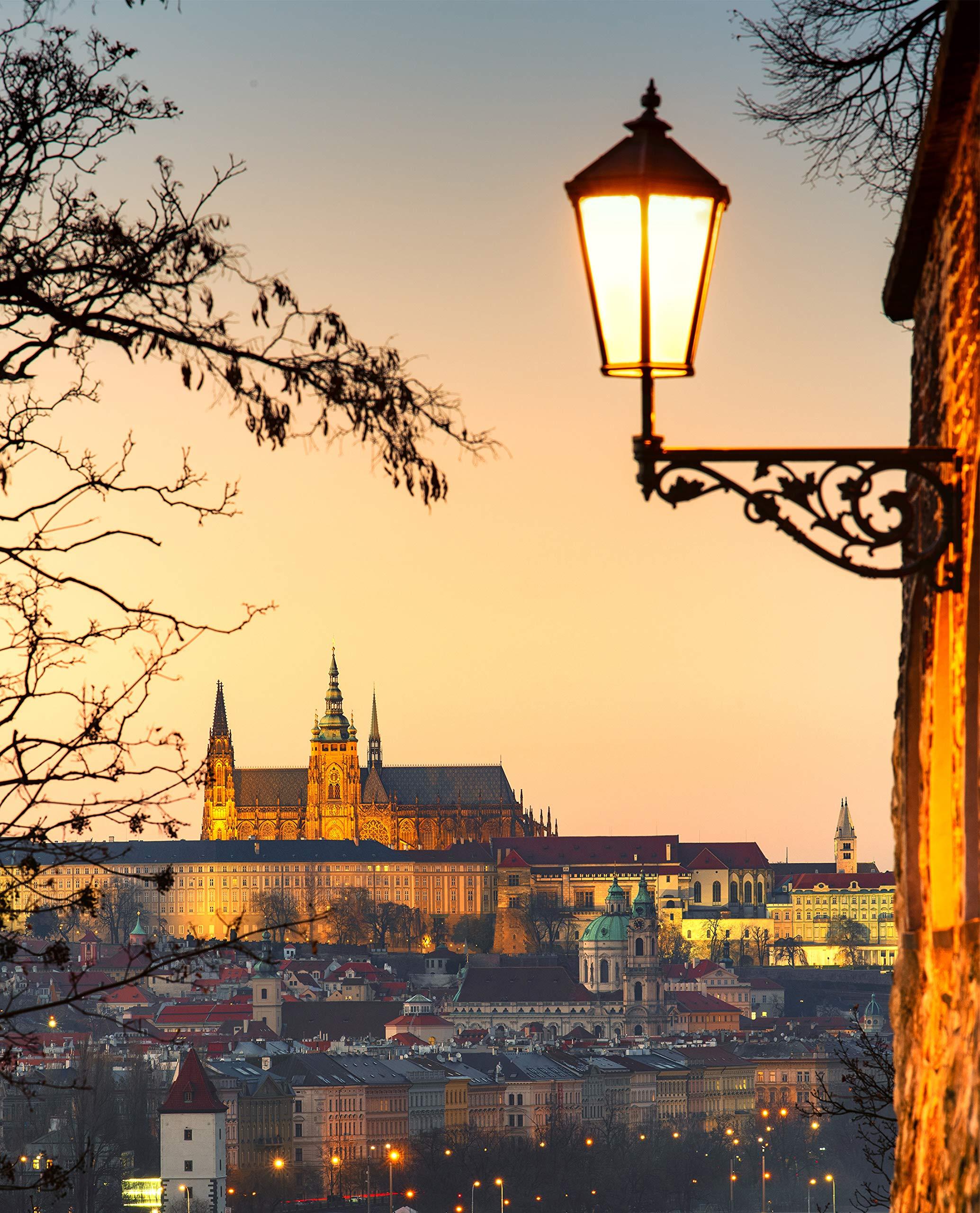 Spolico Dusk to Dawn LED Lights Bulb,Photocell Sensor Bulb, Auto Turn On/Off, ST58 ST19 60W Edison Replacement, E26 8W 800lm,Warm White 2700K for Outdoor Wall Light Fixture Garden Garage Porch Pack of 2